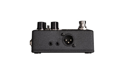 Amp Academy