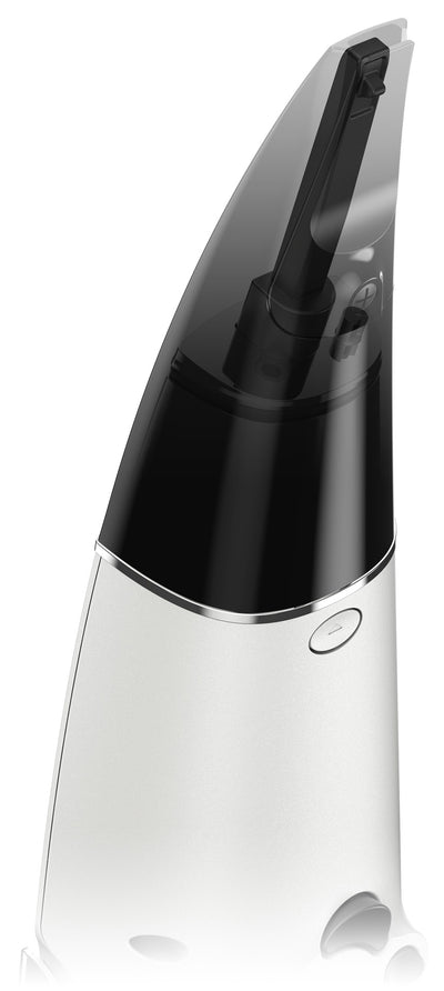 NES-1