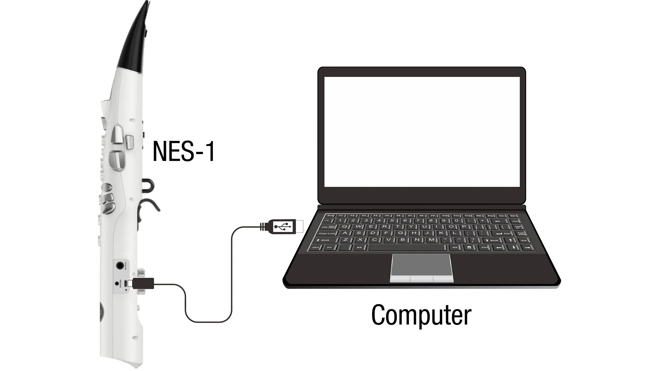 NES-1