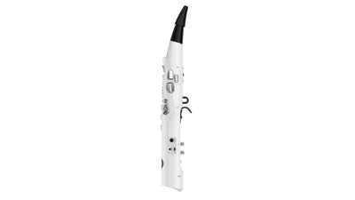 NES-1